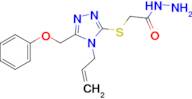 2-{[4-allyl-5-(phenoxymethyl)-4H-1,2,4-triazol-3-yl]thio}acetohydrazide