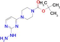tert-butyl 4-(2-hydrazinopyrimidin-4-yl)piperazine-1-carboxylate