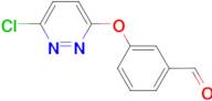 3-[(6-chloropyridazin-3-yl)oxy]benzaldehyde