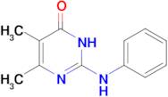 2-anilino-5,6-dimethylpyrimidin-4(3H)-one