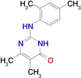 2-[(2,4-dimethylphenyl)amino]-5,6-dimethylpyrimidin-4(3H)-one