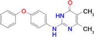 5,6-dimethyl-2-[(4-phenoxyphenyl)amino]pyrimidin-4(3H)-one