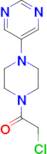 5-[4-(chloroacetyl)piperazin-1-yl]pyrimidine
