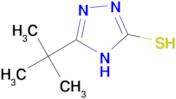 5-tert-butyl-4H-1,2,4-triazole-3-thiol