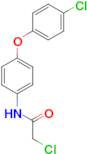 2-chloro-N-[4-(4-chlorophenoxy)phenyl]acetamide