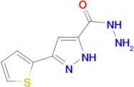 5-(2-thienyl)-1H-pyrazole-3-carbohydrazide