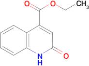 ethyl 2-hydroxyquinoline-4-carboxylate