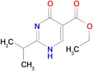 ethyl 4-hydroxy-2-isopropylpyrimidine-5-carboxylate