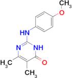 2-[(4-methoxyphenyl)amino]-5,6-dimethylpyrimidin-4(3H)-one