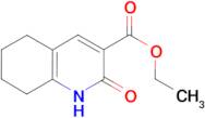 ethyl 2-hydroxy-5,6,7,8-tetrahydroquinoline-3-carboxylate