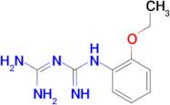 N-(2-ethoxyphenyl)imidodicarbonimidic diamide