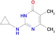 2-(cyclopropylamino)-5,6-dimethylpyrimidin-4(3H)-one