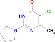 5-chloro-6-methyl-2-pyrrolidin-1-ylpyrimidin-4(1H)-one