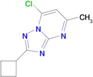 7-chloro-2-cyclobutyl-5-methyl[1,2,4]triazolo[1,5-a]pyrimidine