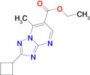 ethyl 2-cyclobutyl-7-methyl[1,2,4]triazolo[1,5-a]pyrimidine-6-carboxylate