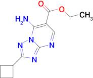 ethyl 7-amino-2-cyclobutyl[1,2,4]triazolo[1,5-a]pyrimidine-6-carboxylate