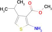 Methyl 2-amino-4-isopropylthiophene-3-carboxylate