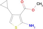 methyl 2-amino-4-cyclopropylthiophene-3-carboxylate