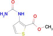 methyl 3-[(aminocarbonyl)amino]thiophene-2-carboxylate