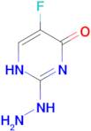 5-fluoro-2-hydrazinopyrimidin-4(3H)-one