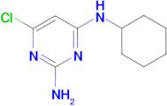 6-chloro-N~4~-cyclohexylpyrimidine-2,4-diamine