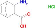 3-aminobicyclo[2.2.1]hept-5-ene-2-carboxylic acid hydrochloride