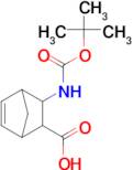 3-[(tert-butoxycarbonyl)amino]bicyclo[2.2.1]hept-5-ene-2-carboxylic acid