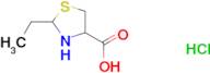 2-ethyl-1,3-thiazolidine-4-carboxylic acid hydrochloride