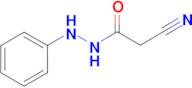 2-cyano-N'-phenylacetohydrazide