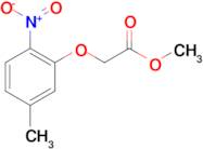 methyl (5-methyl-2-nitrophenoxy)acetate