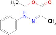 ethyl (2Z)-2-(phenylhydrazono)propanoate