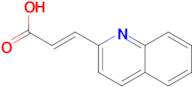 (2E)-3-quinolin-2-ylacrylic acid