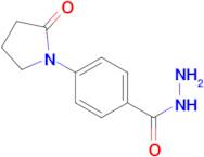 4-(2-oxopyrrolidin-1-yl)benzohydrazide