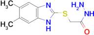 2-[(5,6-dimethyl-1H-benzimidazol-2-yl)thio]acetohydrazide