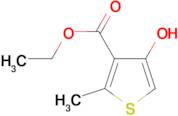 ethyl 4-hydroxy-2-methylthiophene-3-carboxylate