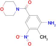 [2-methyl-5-(morpholin-4-ylcarbonyl)-3-nitrophenyl]amine