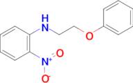 (2-nitrophenyl)(2-phenoxyethyl)amine