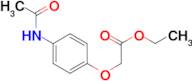 ethyl [4-(acetylamino)phenoxy]acetate