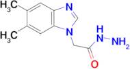 2-(5,6-dimethyl-1H-benzimidazol-1-yl)acetohydrazide