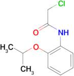 2-chloro-N-(2-isopropoxyphenyl)acetamide