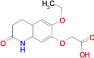 [(6-ethoxy-2-oxo-1,2,3,4-tetrahydroquinolin-7-yl)oxy]acetic acid
