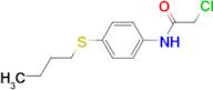 N-[4-(butylthio)phenyl]-2-chloroacetamide