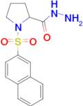 1-(2-naphthylsulfonyl)pyrrolidine-2-carbohydrazide