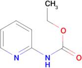 ethyl pyridin-2-ylcarbamate