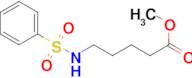 methyl 5-[(phenylsulfonyl)amino]pentanoate