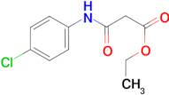 ethyl 3-[(4-chlorophenyl)amino]-3-oxopropanoate