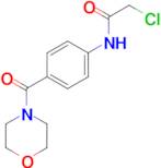 2-chloro-N-[4-(morpholin-4-ylcarbonyl)phenyl]acetamide