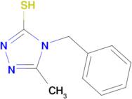 4-benzyl-5-methyl-4H-1,2,4-triazole-3-thiol