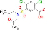 2,4-dichloro-5-[(2,6-dimethylmorpholin-4-yl)sulfonyl]benzoic acid