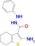 2-amino-N'-phenyl-4,5,6,7-tetrahydro-1-benzothiophene-3-carbohydrazide